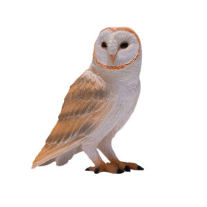 Mojo Wildlife Kerkuil – 381054
