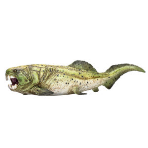 Mojo Prehistorie Dunkleosteus – 387374