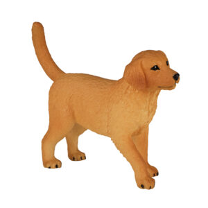 Mojo Farmland Golden Retriever Puppy – 387205