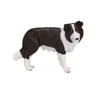 Mojo Farmland Border Collie – 387203