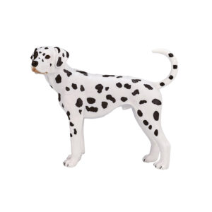 Mojo Farmland Dalmatiër – 387248